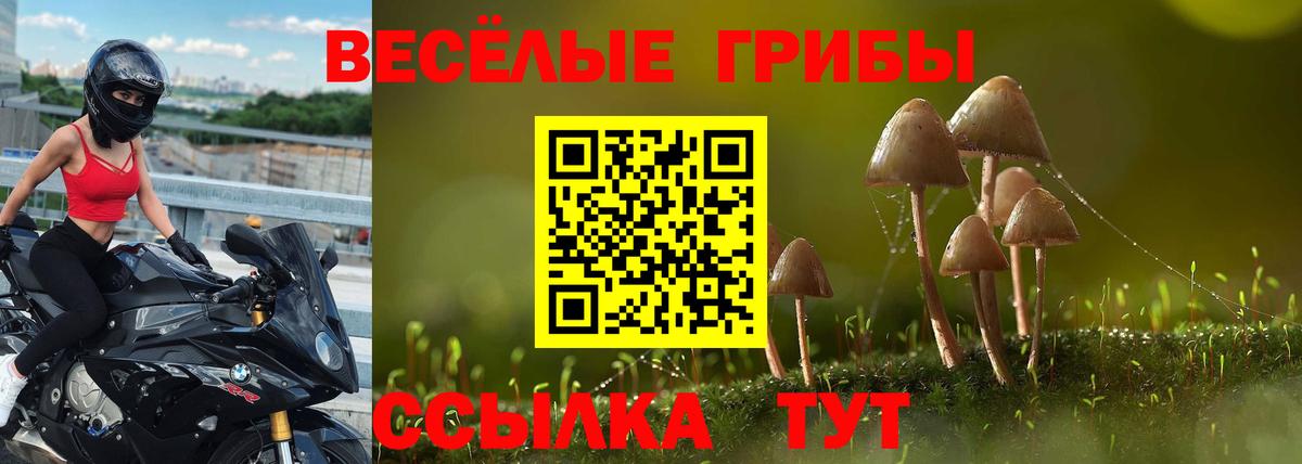 Псилоцибиновые грибы Cubensis  Вход с VPN  Ярославль  Галлюциногенные грибы GOLDEN TEACHER 