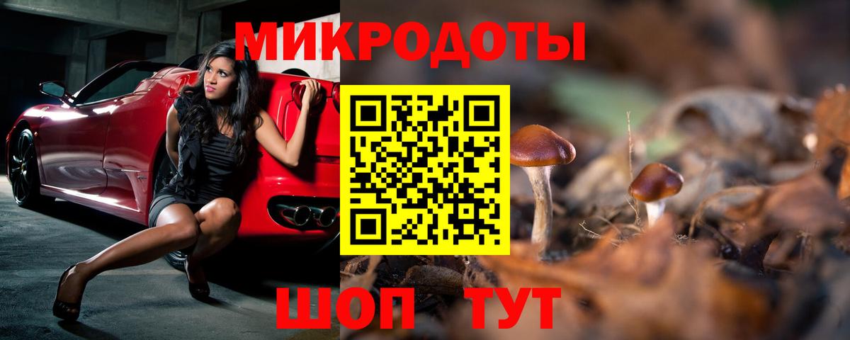 Псилоцибиновые грибы мицелий Ярославль
